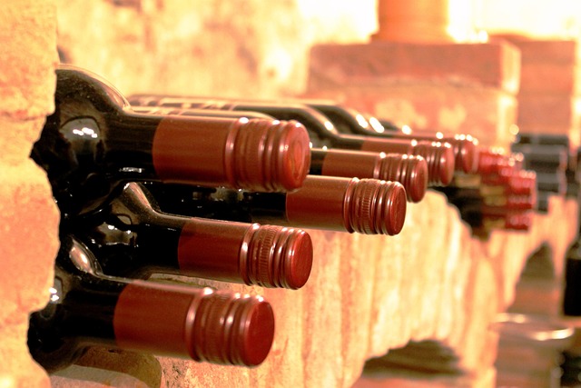 Building a Custom Wine Cellar: Temperature, Humidity & Design