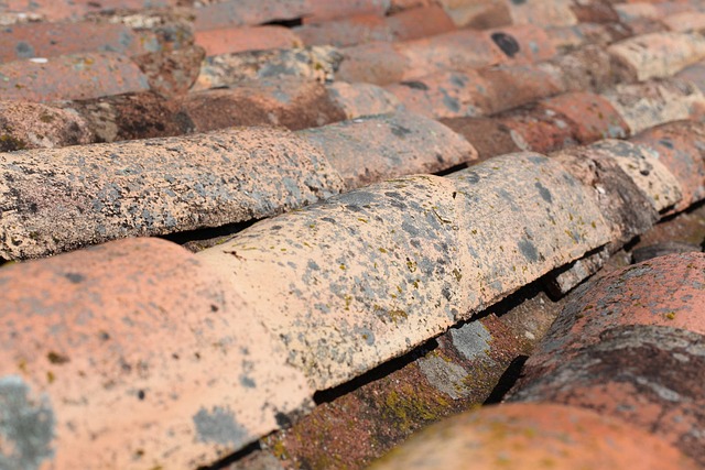 How to Stop a Leaky Roof: Step-by-Step Repair Guide-Usa Home Guide