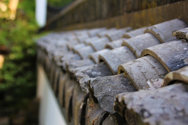 Temporary Metal Roof Tile Repair: DIY Steps, Tools, and Safety Guide Temporary Metal Roof Tile Repair: DIY Steps, Tools, and Safety Guide-Usa Home Guide