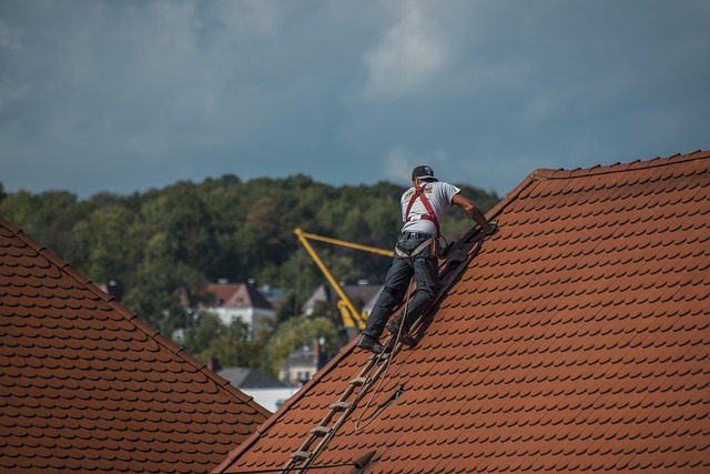 How to Stop a Leaky Roof: Step-by-Step Repair Guide-Usa Home Guide