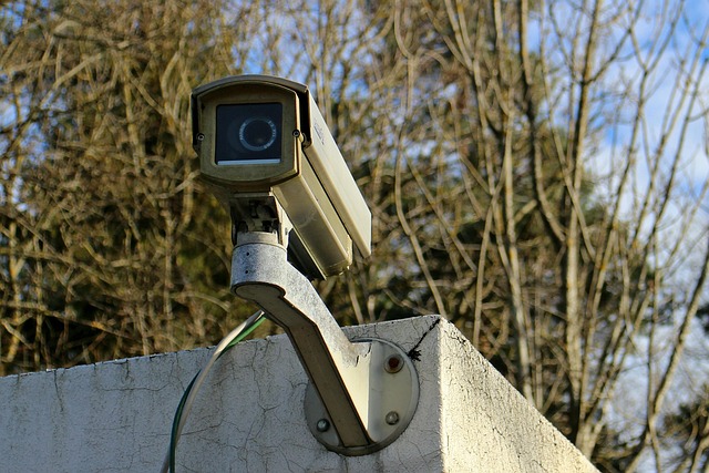 DIY Security Camera Installation: What You Need to Know-Usa Home Guide