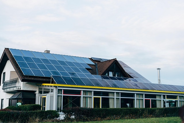 Green Home Services: Eco-Friendly Solutions for Modern Living-Usa Home Guide