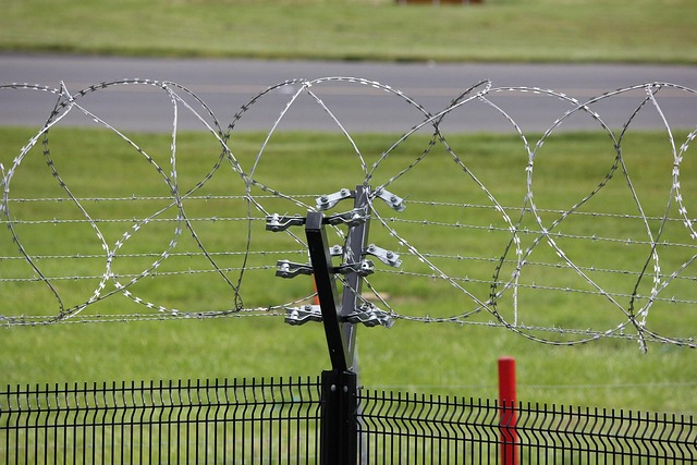 Installing Dog-Friendly Yard Fencing for Security-Usa Home Guide