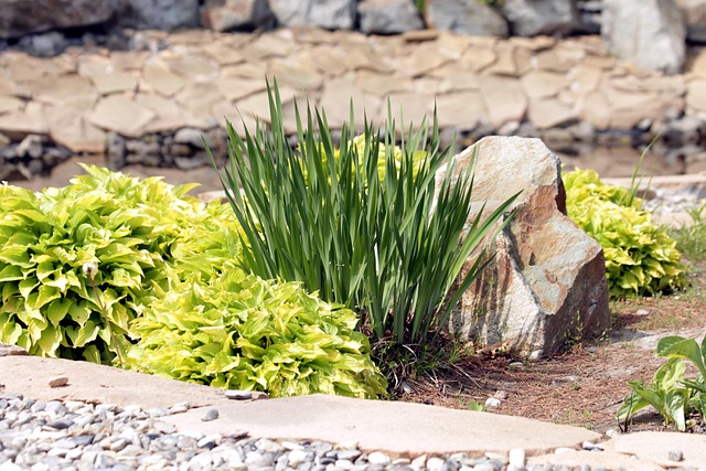 Low-Maintenance Landscaping Ideas for Busy Homeowners