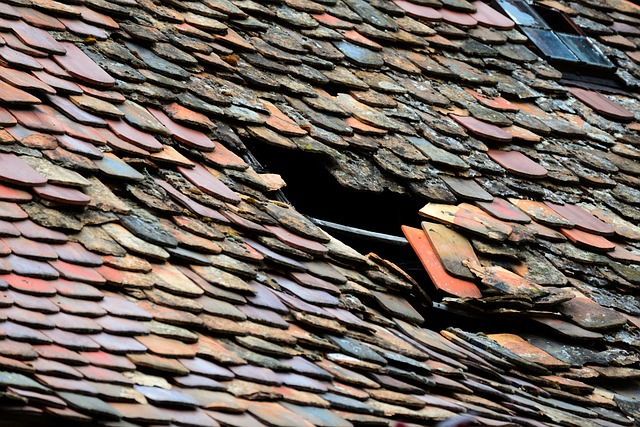 Temporary Metal Roof Tile Repair: DIY Steps, Tools, and Safety Guide Temporary Metal Roof Tile Repair: DIY Steps, Tools, and Safety Guide-Usa Home Guide