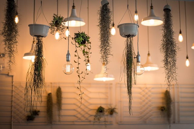 Top 10 That Thrive in Low Light Top 10 That Thrive in Low Light-Usa Home Guide