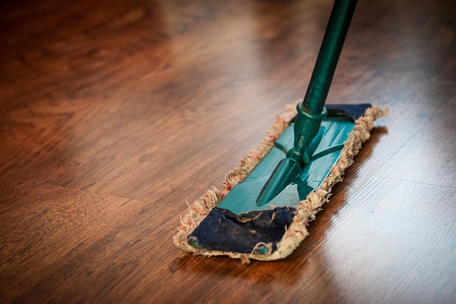 25 Essential Home Cleaning Tips for Every Room-Usa Home Guide