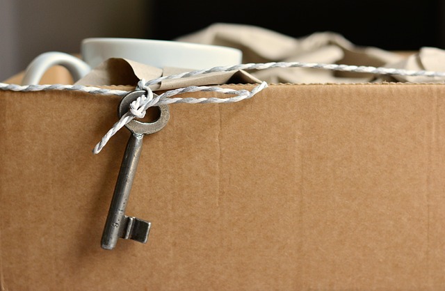 12 Efficient Home Relocation Strategies for a Stress-Free Move