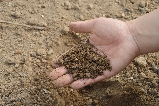 5 Techniques to Improve Soil Fertility