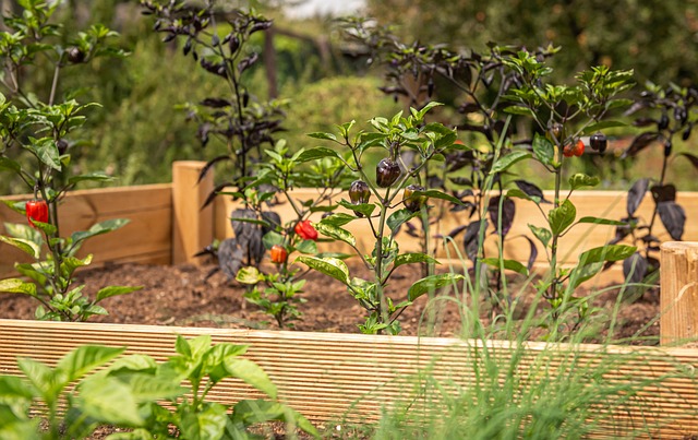 How to Choose the Best Soil Amendments for Raised Beds How to Choose the Best Soil Amendments for Raised Beds-Usa Home Guide