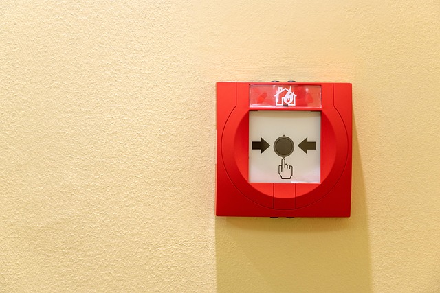 Personal Panic Alarms: Features to Look For-Usa Home Guide
