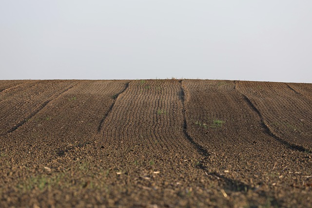 5 Techniques to Improve Soil Fertility 5 Techniques to Improve Soil Fertility-Usa Home Guide