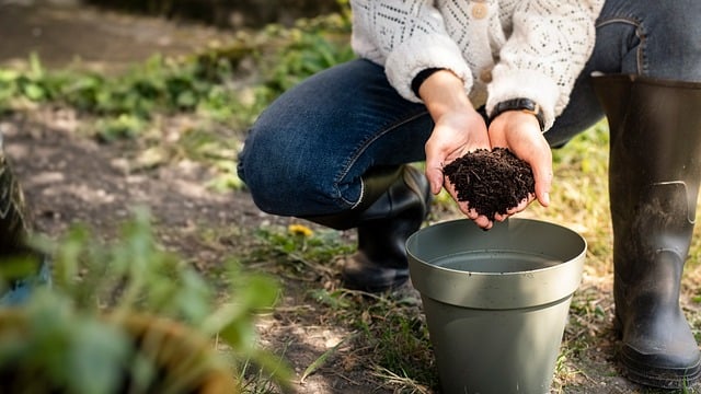 How to Choose the Best Soil Amendments for Raised Beds