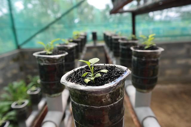 Indoor Gardening Technology: Smart Solutions for Fresh Produce in Manhattan Apartments